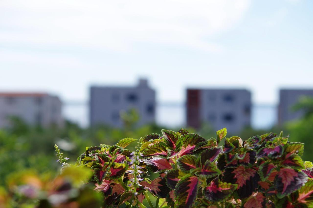 Apartment Nada Vir Eksteriør bilde